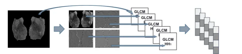 Figure 5. Example of the names of the coefﬁcient matrices after a three-level DWT decomposition.