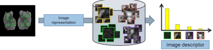 Figure 8. How the image representation is carried out.
