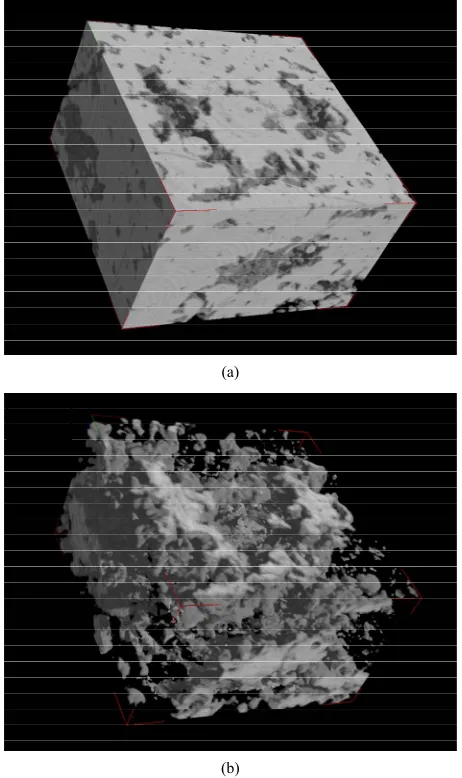 Figure 8. The three dimensional compositional distribution of part of sample, (a) is dolomite and (b) is calcite