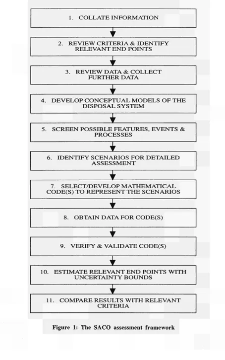 Figure 1: The SACO assessment framework 