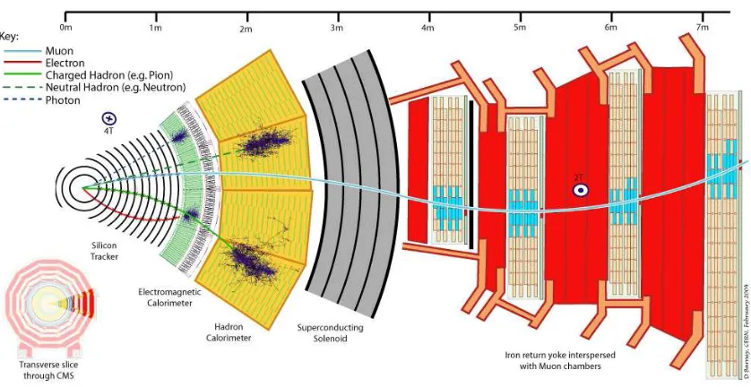 Figure 3.3: A slice diagram depicting the various layers of the CMS detector [31].