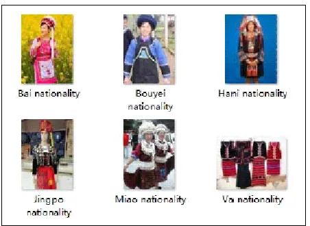 Figure 1.  An instance of the minority robe 