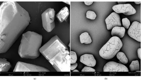 Figure 1. SEM photographs of (a) LAA uncoated (×265) and (b) LLA coated (×280).  