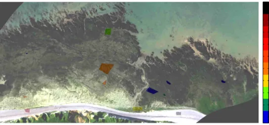 Figure 6. AISA Eagle HSI (Color composite, bands 57, 36, 14) and superimposed ground truth map.