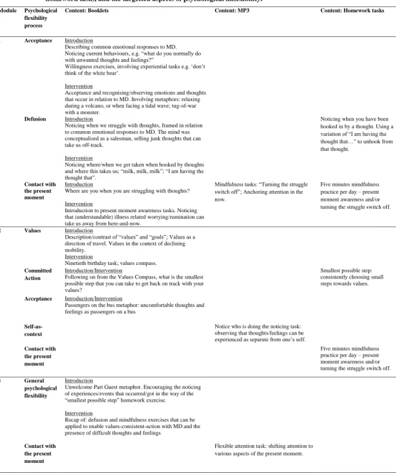 Table 1. Description of the intervention techniques used, by module, modality (booklet, MP3, 