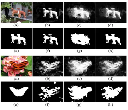 Fig. 10: Some visual examples. (a) input image, (b) 
