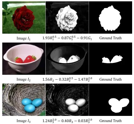 Fig. 3:  Some results of the initial saliency trimap. (a) 