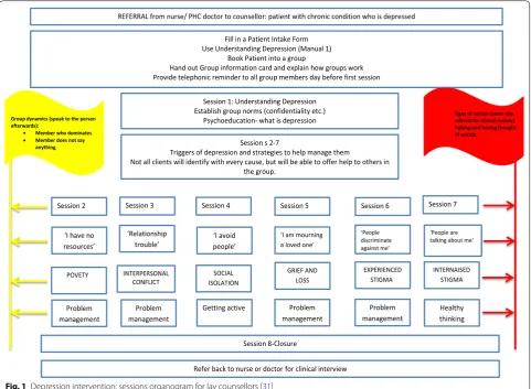 Fig. 1 Depression intervention: sessions organogram for lay counsellors [31