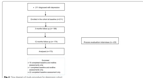 Fig. 2 Flow diagram of study procedure for depression cohort