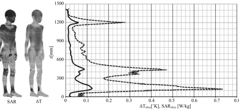 Figure 1. Height profiles of slice-averaged values of SARslice and ΔTslice with surface distributions of SAR and ΔT at the child model