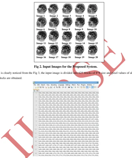 Fig 2. Input Images for the Proposed System. 