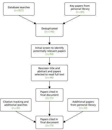 FIGURE 1 Summary of searching and selection process for aggregate programme theories.