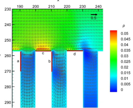 Figure 5. Pressure and velocity distribution at rough solid wall after the bubble collapse