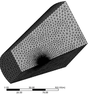 Figure 4. Sectional view of blade geometry meshing. 