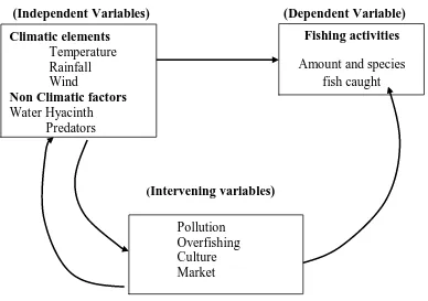 Figure 2.1: Influence of climatic and non-climatic factors on fish production Source: Developed from; Johnson (2009), Kusemiju (1991) and Glantz (2007)