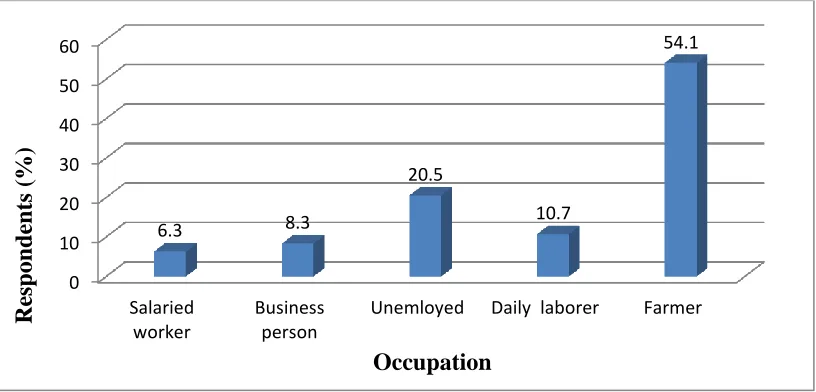 Figure 4.6: Bar graph showing occupation of respondents 