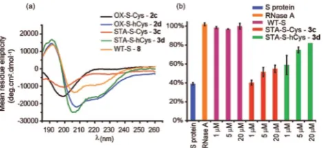 Fig. 5Biophysical and bioactivity analyses of WT-S and S derivedTFE); (b) RNA degradation assay showing the restoration of S proteinactivity