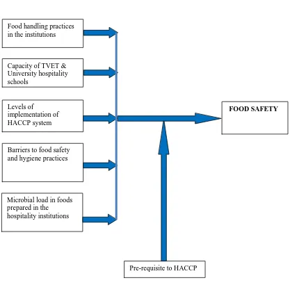 Figure 1.1:- Conceptual Framework on Food Safety 