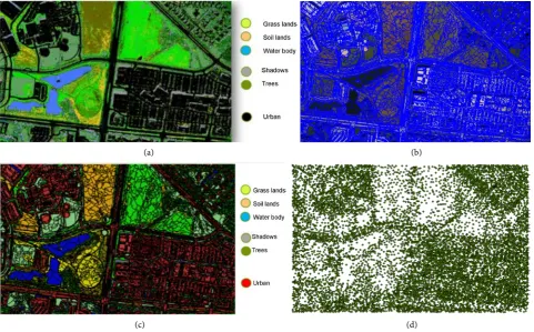 Figure 7Phase 3 was executed to detect the terrain and off-terrain elevations. As in , an isometric view of a part of the study area is illustrated