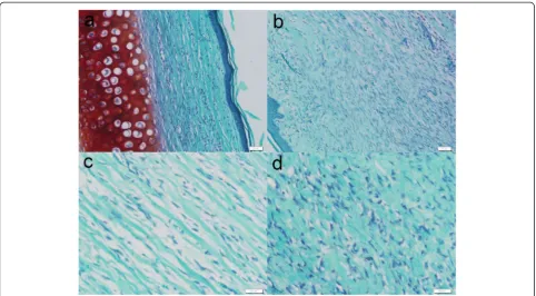 Fig. 6 Masson trichrome staining. Masson trichrome staining was used for the evaluation of collagen fiber organization
