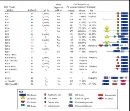 Figure 1.2 List of different RGS proteins known to date 18 