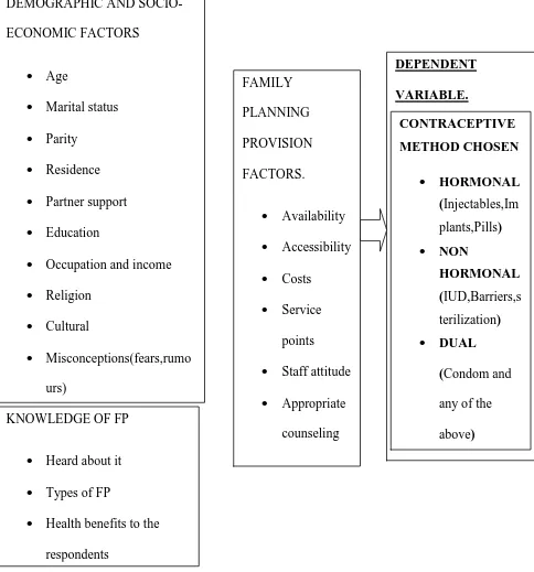 Figure 1: Conceptual framework: Determinants of contraceptive choices                                      