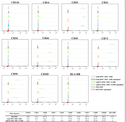 Fig. 2 Flow cytometric analysis of mesenchymal markers CD11b–, CD14–, CD29+, CD31–, CD34–, CD44+, CD45–, CD73+, CD90+, CD105+, andHLA-DR– in BM-MSCs (P13), mRNA-iPSC-MSC-YL001 (P14), lenti-iPSC-MSC-A001 (P10)