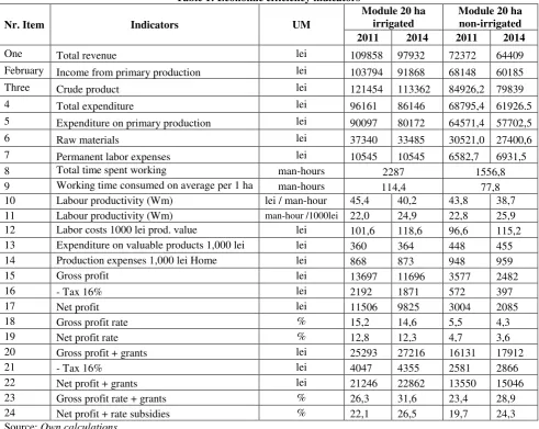 Table 1: Economic efficiency indicators 