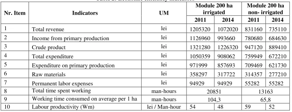 Table 2: Economic efficiency indicators 
