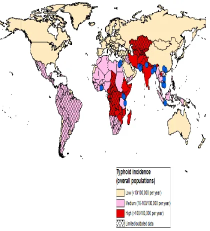 Figure 2.2. Global incidence of typhoid fever (Adopted from Crump et al., 2004) 