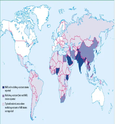 Figure 2.3. Global distribution of antimicrobial resistance in S. typhi (1990-2004) (Adopted from Crump et al., 2004)