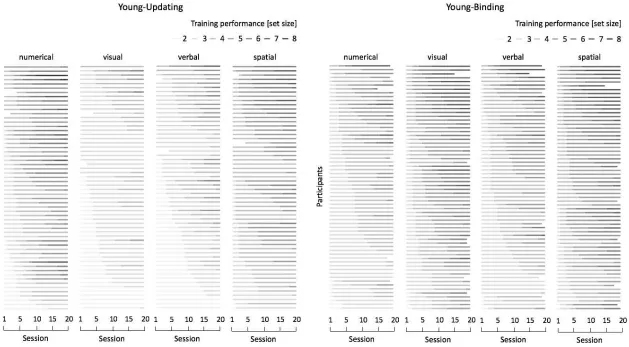 Figure 2. Growth curve plot of task-specific training performance for the Young-Updating and Young-Binding samples