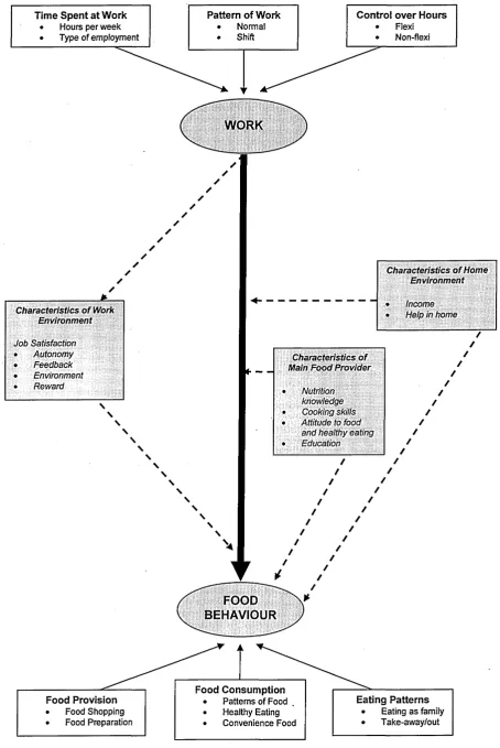 Figure 3.3 Modelling the Association between Work and Food Behaviour - Operational Model