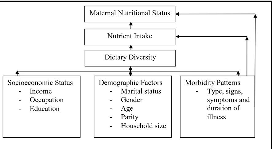 Figure 1.1: Conceptual framework of factors influencing maternal dietary diversity, nutrient intake and nutritional status
