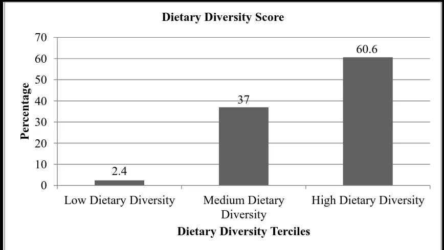 Figure 4.3: Respondents individual dietary diversity score terciles 