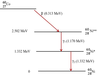 Figure 3.1: A diagram illustrating the decay scheme of  60Co decay. 
