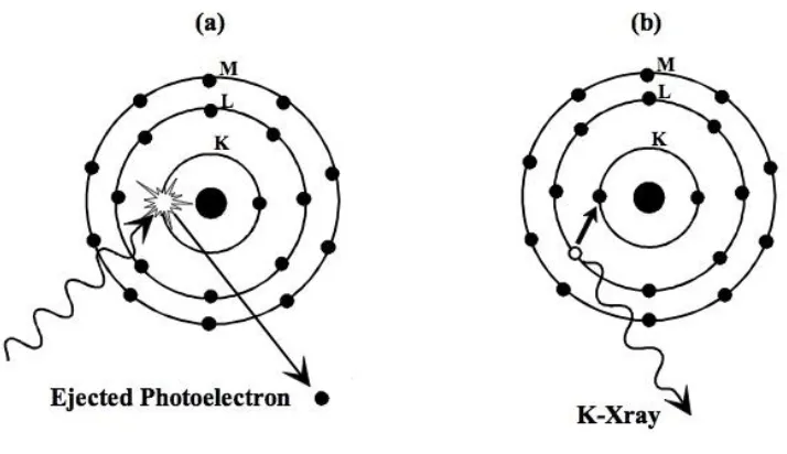 Figure 3.3: Schematic diagram of photoelectric absorption (https://enwikibooks.org/wiki)