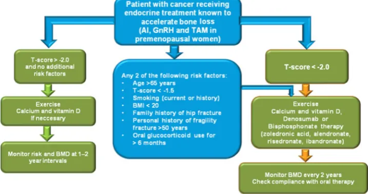 Fig. 1. Recommended algorithm for managing bone health in women receiving aromatase inhibitor (AI) therapy for breast cancer.*If patients experience an annual decrease in bone mineral density (BMD) of ≥10% (using the same DXA absorptiometry machine), secon