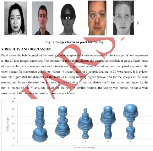 Fig. 3. Images taken as pivot for testing. 