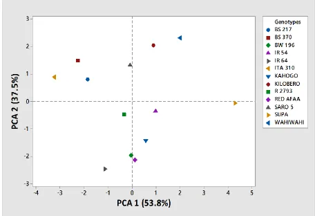 Figure 4. 2: Clustering of 13 rice genotypes based on 7 grain and kernel traits            