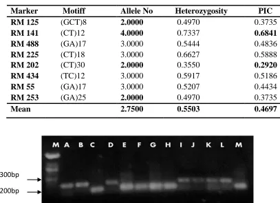 Table 4.3: Genetic information of polymorphic SSR markers 