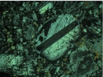 Figure 8. Zoning of plagioclase phenocrysts in the ande-site (field length: 4.5 mm, 40X) (XPL)