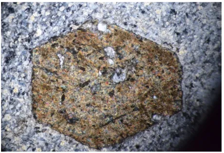 Figure 12. Granite micro enclaves in the andesitic rocks (field length: 4.5 mm, 40X) (XPL)