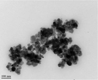 Figure 2. nm. The darker areas in the image are merely caused by some nanoparticles overlying one another.TEM photomicrograph of the 30 nm hematite particles