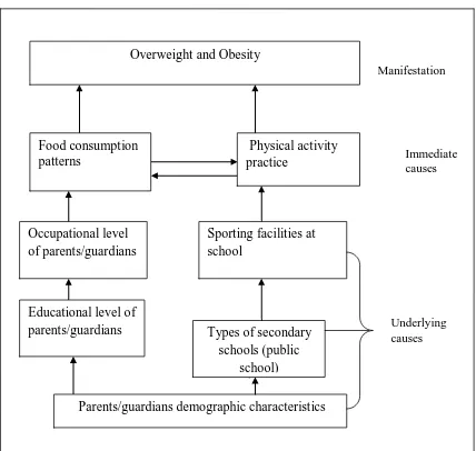 Figure 1.1.  Causes of overweight and obesity 
