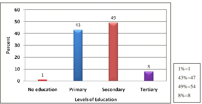 Figure 4.1: Levels of Education among the Respondents 