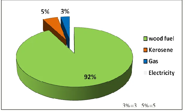 Figure 4.2: Sources of Energy for the Respondents92%=102  