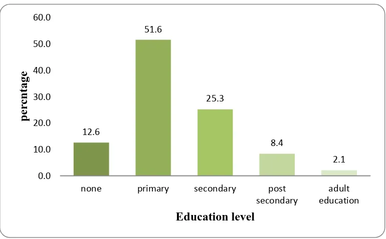 Figure 4.2. Respondents Education level at the study sites 