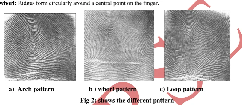 Fig 2: shows the different pattern 