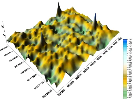 Figure 5.3 3D magnetic anomaly map for Magaoni.